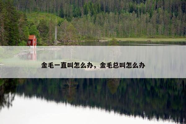 金毛一直叫怎么办，金毛总叫怎么办