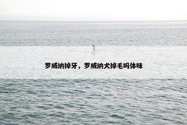 罗威纳掉牙，罗威纳犬掉毛吗体味