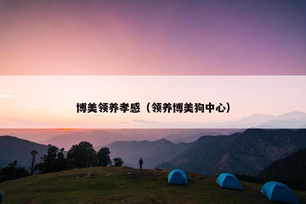 博美领养孝感（领养博美狗中心）
