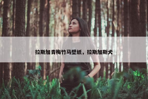 拉斯加青梅竹马壁纸，拉斯加斯犬