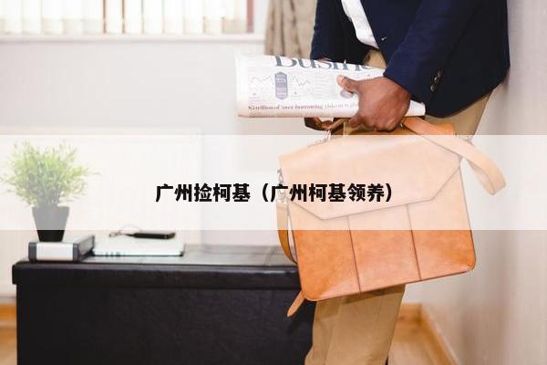 广州捡柯基（广州柯基领养）