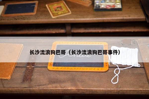 长沙流浪狗巴哥（长沙流浪狗巴哥事件）