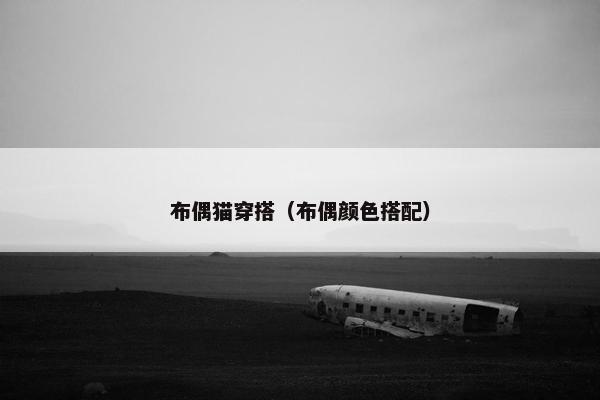 布偶猫穿搭（布偶颜色搭配）