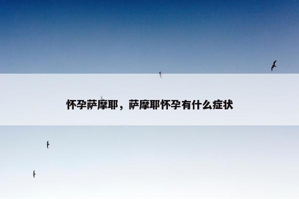 怀孕萨摩耶，萨摩耶怀孕有什么症状
