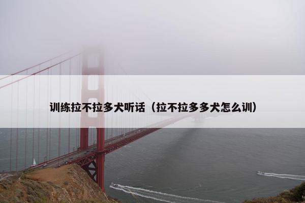 训练拉不拉多犬听话（拉不拉多多犬怎么训）