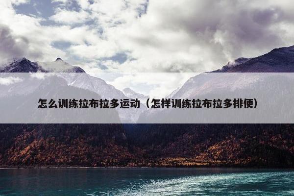 怎么训练拉布拉多运动（怎样训练拉布拉多排便）
