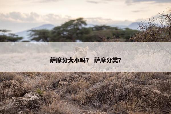 萨摩分大小吗？ 萨摩分类？