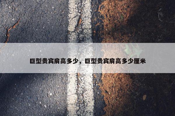 巨型贵宾肩高多少，巨型贵宾肩高多少厘米