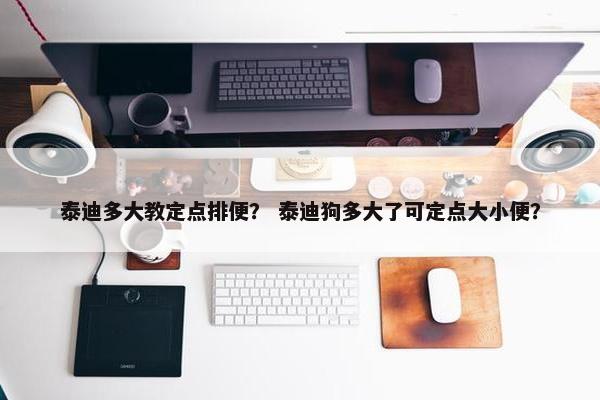 泰迪多大教定点排便？ 泰迪狗多大了可定点大小便？