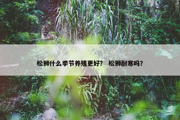 松狮什么季节养殖更好？ 松狮耐寒吗？