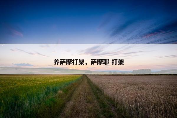 养萨摩打架，萨摩耶 打架