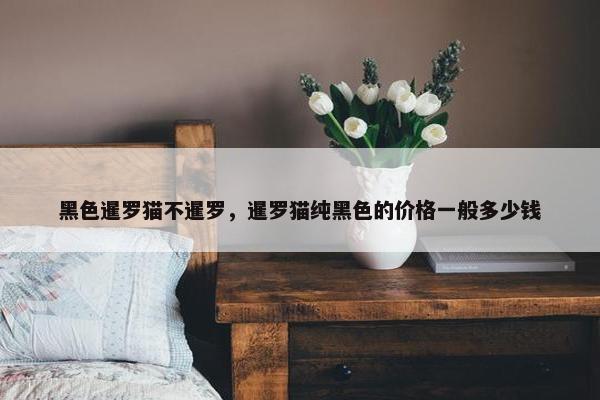 黑色暹罗猫不暹罗，暹罗猫纯黑色的价格一般多少钱