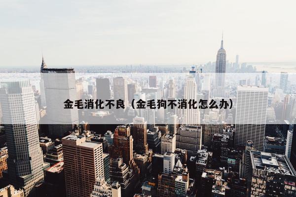 金毛消化不良（金毛狗不消化怎么办）