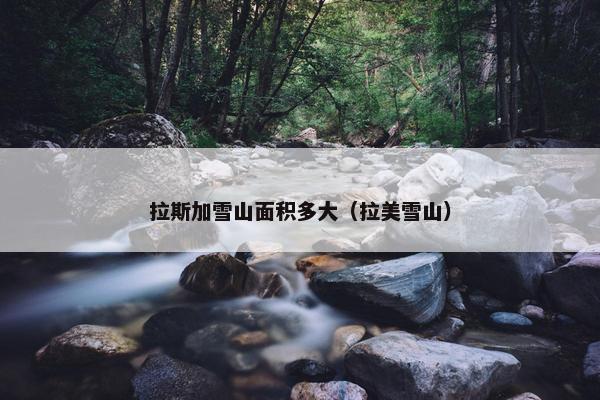 拉斯加雪山面积多大（拉美雪山）
