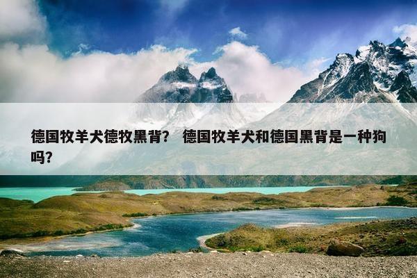 德国牧羊犬德牧黑背？ 德国牧羊犬和德国黑背是一种狗吗？