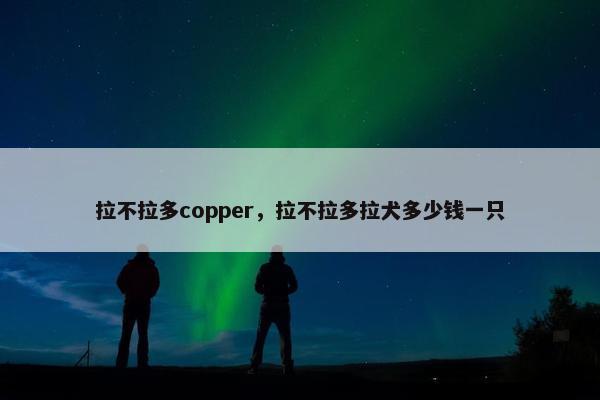 拉不拉多copper，拉不拉多拉犬多少钱一只