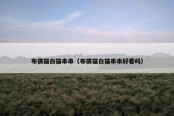 布偶猫白猫串串（布偶猫白猫串串好看吗）