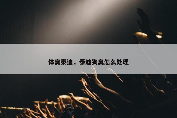 体臭泰迪，泰迪狗臭怎么处理