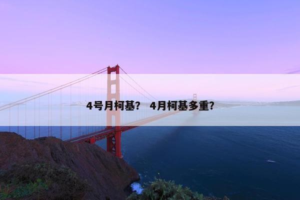 4号月柯基？ 4月柯基多重？