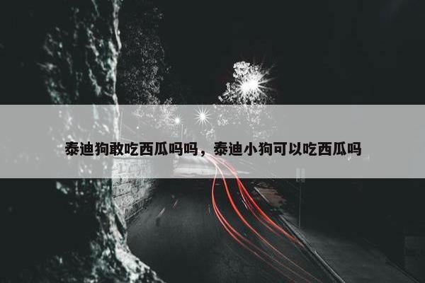 泰迪狗敢吃西瓜吗吗，泰迪小狗可以吃西瓜吗