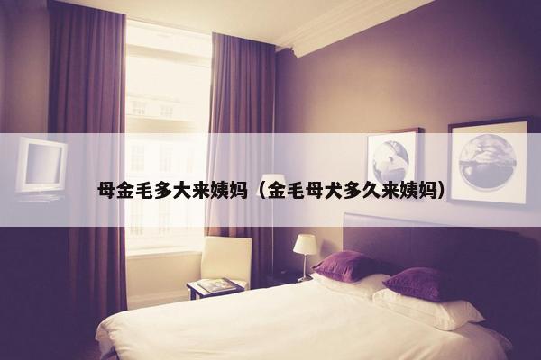 母金毛多大来姨妈（金毛母犬多久来姨妈）