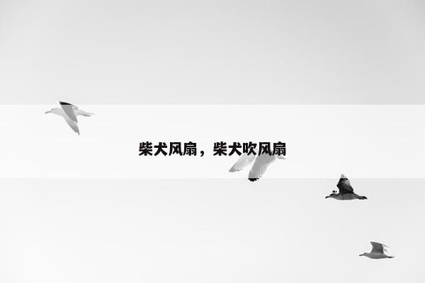 柴犬风扇，柴犬吹风扇