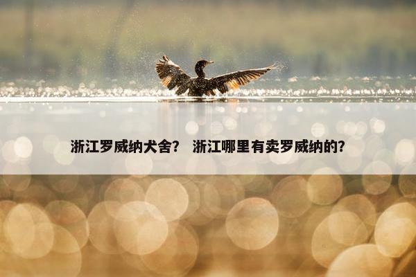 浙江罗威纳犬舍？ 浙江哪里有卖罗威纳的？