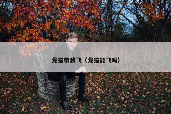 龙猫带我飞（龙猫能飞吗）