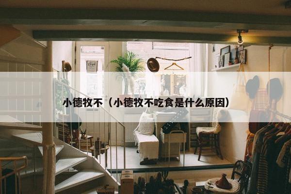 小德牧不（小德牧不吃食是什么原因）