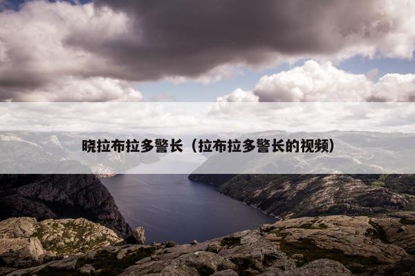 晓拉布拉多警长（拉布拉多警长的视频）