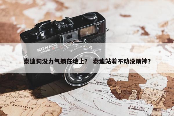 泰迪狗没力气躺在地上？ 泰迪站着不动没精神？
