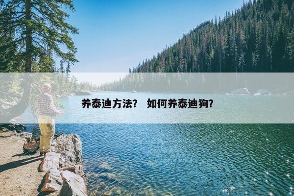 养泰迪方法？ 如何养泰迪狗？