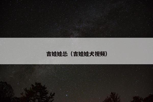 吉娃娃怂（吉娃娃犬视频）