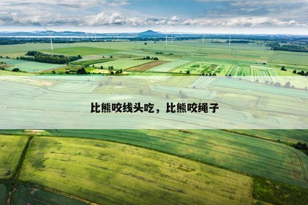 比熊咬线头吃，比熊咬绳子