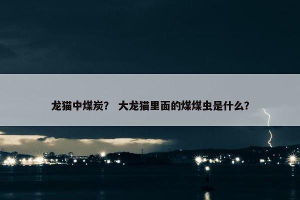 龙猫中煤炭？ 大龙猫里面的煤煤虫是什么？