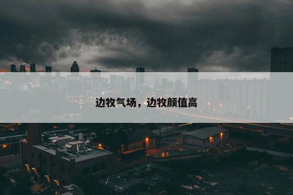 边牧气场，边牧颜值高