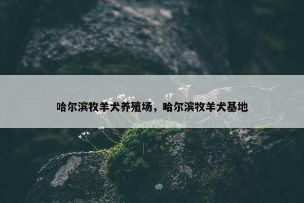 哈尔滨牧羊犬养殖场，哈尔滨牧羊犬基地