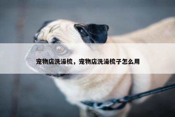宠物店洗澡梳，宠物店洗澡梳子怎么用