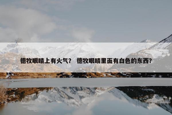 德牧眼睛上有火气？ 德牧眼睛里面有白色的东西？