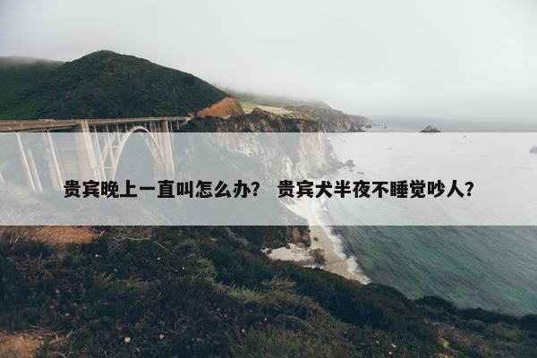 贵宾晚上一直叫怎么办？ 贵宾犬半夜不睡觉吵人？