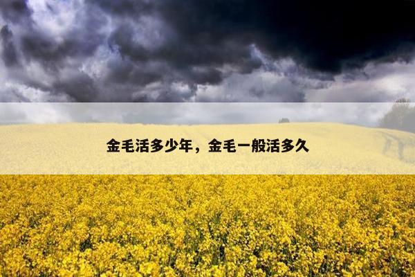 金毛活多少年，金毛一般活多久