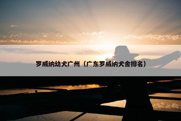 罗威纳幼犬广州（广东罗威纳犬舍排名）