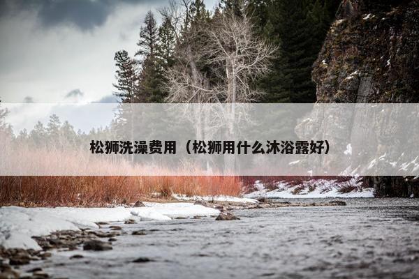 松狮洗澡费用（松狮用什么沐浴露好）