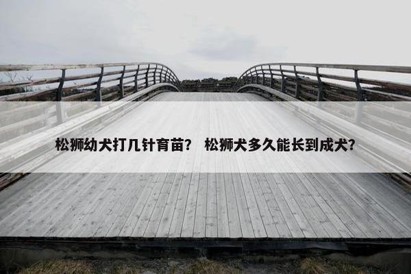 松狮幼犬打几针育苗？ 松狮犬多久能长到成犬？
