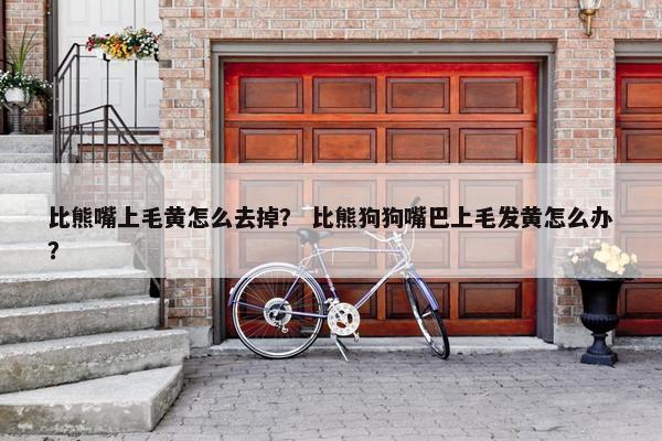 比熊嘴上毛黄怎么去掉？ 比熊狗狗嘴巴上毛发黄怎么办？