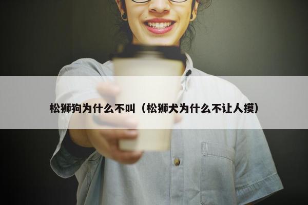 松狮狗为什么不叫（松狮犬为什么不让人摸）