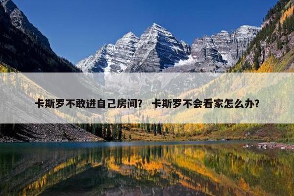 卡斯罗不敢进自己房间？ 卡斯罗不会看家怎么办？