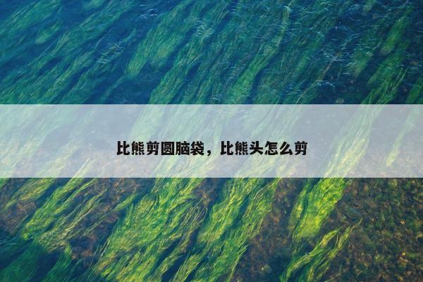比熊剪圆脑袋，比熊头怎么剪