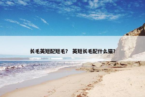 长毛英短配短毛？ 英短长毛配什么猫？