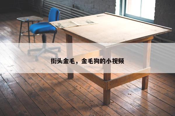 街头金毛，金毛狗的小视频